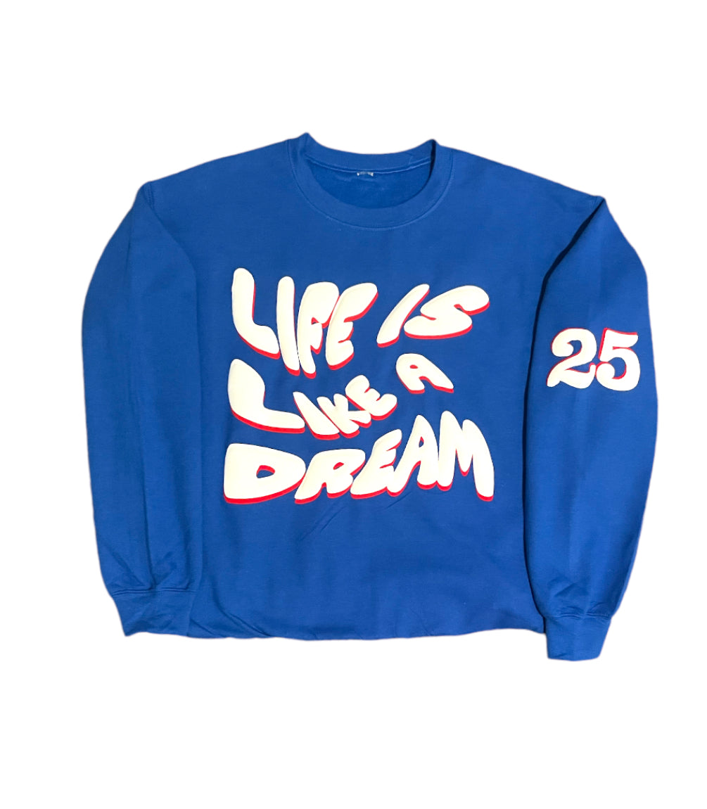 Dreamchildwrld Luxury Designer Sweatshirt